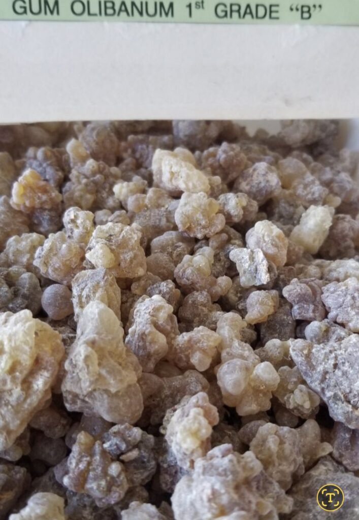 screenshot 20241217 142438 gallery