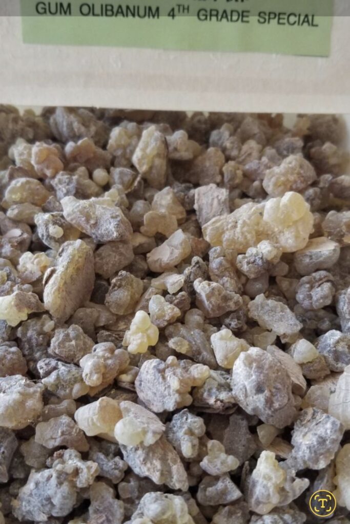 screenshot 20241217 142442 gallery