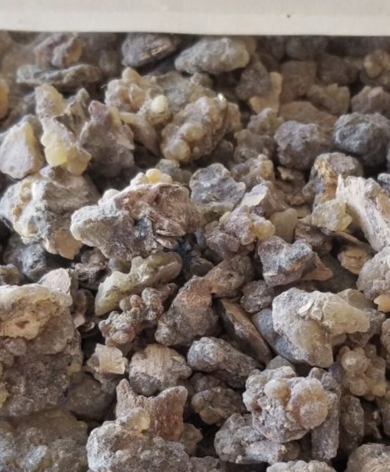 screenshot 20241217 142445 gallery