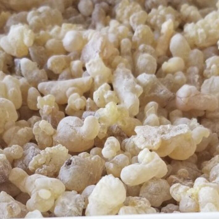 screenshot 20241217 142449 gallery